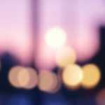 15 tipů jak využít opadané listy jako dekoraci